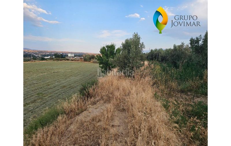 Foto 0e6ec4ae-30d0-479e-be92-d6e9d0c3d06c. Finca rústica a Guadix