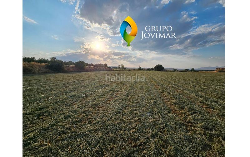 Foto 695fe2f0-2793-4d75-8d09-4dc4b9acf3a7. Finca rústica a Guadix
