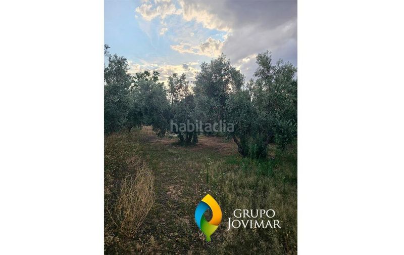 Foto 9a2f9257-0229-47dd-843f-884d9b2cf535. Finca rústica a Guadix