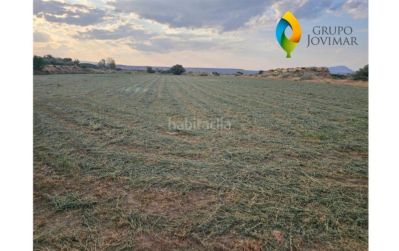 Foto f2ccedae-809c-4d2f-8624-235932ed204d. Finca rústica a Guadix