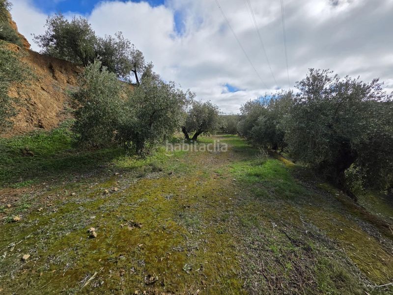 Foto a6ef1c0b-bf93-4600-9c78-fbd2fa74e55d. Finca rústica a Cortes y Graena