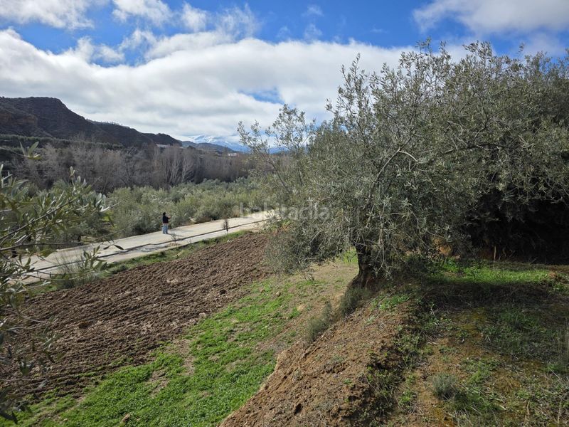 Foto a8c90138-c5be-4317-a35c-d65aab15c045. Finca rústica a Cortes y Graena