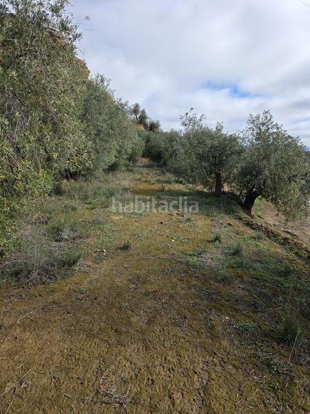 Foto c4d1eead-a16e-4655-804c-60cf9c7ace54. Finca rústica a Cortes y Graena