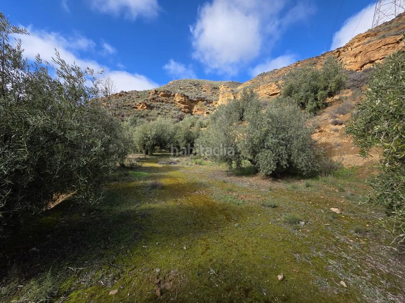 Foto e0d5fe0d-3b76-45dc-90c4-4bf30d005506. Finca rústica a Cortes y Graena