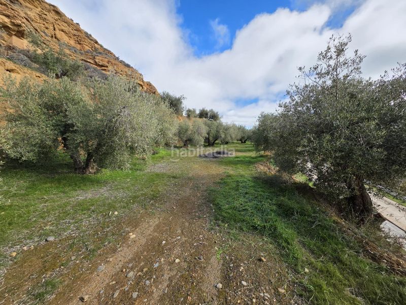 Foto f0d67b81-95a1-47e5-b123-7c70028f0ef3. Finca rústica a Cortes y Graena