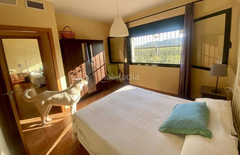 Foto 0adc1d38-7955-4b04-ae84-0efc0b2089a1. Xalet amb xemeneia calefacció aparcament piscina a Alzira