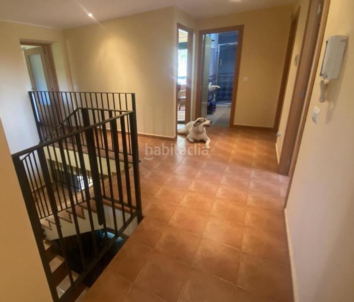 Foto 13aa63ad-1fd0-4c31-93ff-aa734624273a. Xalet amb xemeneia calefacció aparcament piscina a Alzira