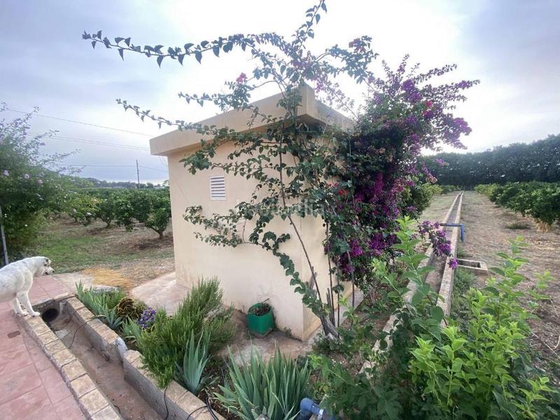 Foto 384cd0c0-2a4e-426b-8f7d-5fc51c798b6c. Xalet amb xemeneia calefacció aparcament piscina a Alzira