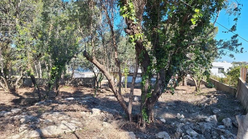 Foto 83d39703-d8c3-456f-8309-3f1ba6997017. Terreno residenziale in Urbanitzacions i Pedanies Nord Alzira