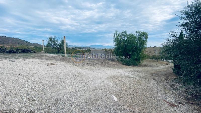 Foto 29c4c439-1fe5-4a33-b1d7-7d8055f224d6. Masía finca rustica en Jarales Lorca