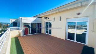 Attique  C. jose herranz veterinario. Lorcaatico