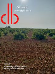 Finca rústica a Calle garcía pavón 112. Viña baja de secano variedad airen