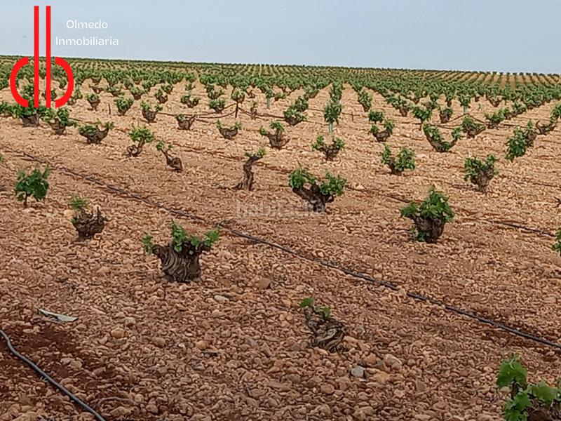 Foto a2a25e1e-f391-4457-aad3-164b245a684a. Propriété dans calle garcía pavón 112 dans Tomelloso