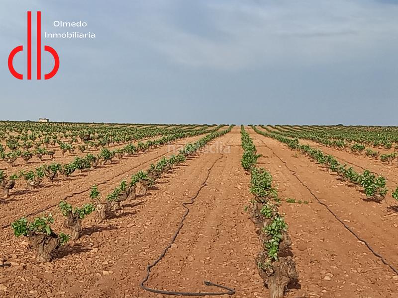 Foto f3f35a0f-e5ca-485c-8d67-ca21b79bd7d4. Propriété dans calle garcía pavón 112 dans Tomelloso