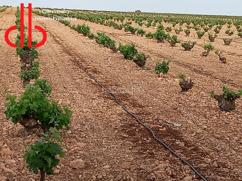 Foto fd9c4e62-df82-40e5-af73-73aca3a8a2f2. Propriété dans calle garcía pavón 112 dans Tomelloso