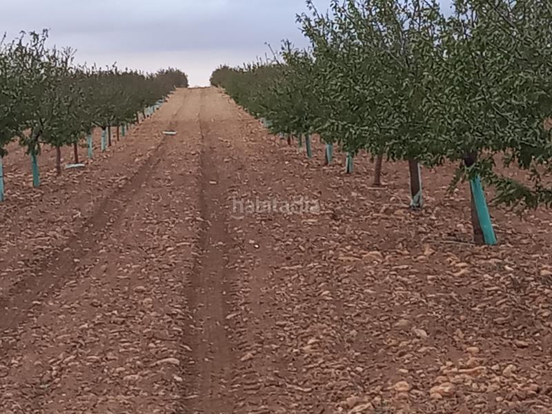 Foto b6e78d62-e181-4fb2-b5b3-93700024be38. Finca rústica a Tomelloso