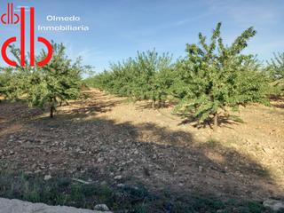 Finca rústica a Calle garcía pavón 112. Finca de monte ,olivas ,almendros y tierra de labor  lagunas de