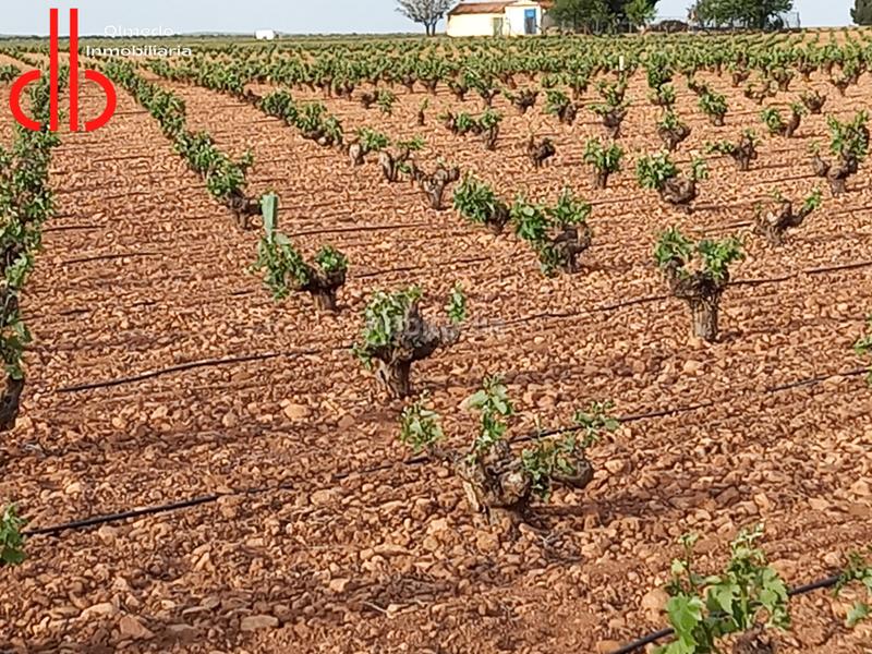 Foto 32e7085b-9cdc-4c18-8277-f5fe7bfc3aeb. Finca rústica en calle garcía pavón 112 viña baja y espaldera de riego airen en Tomelloso