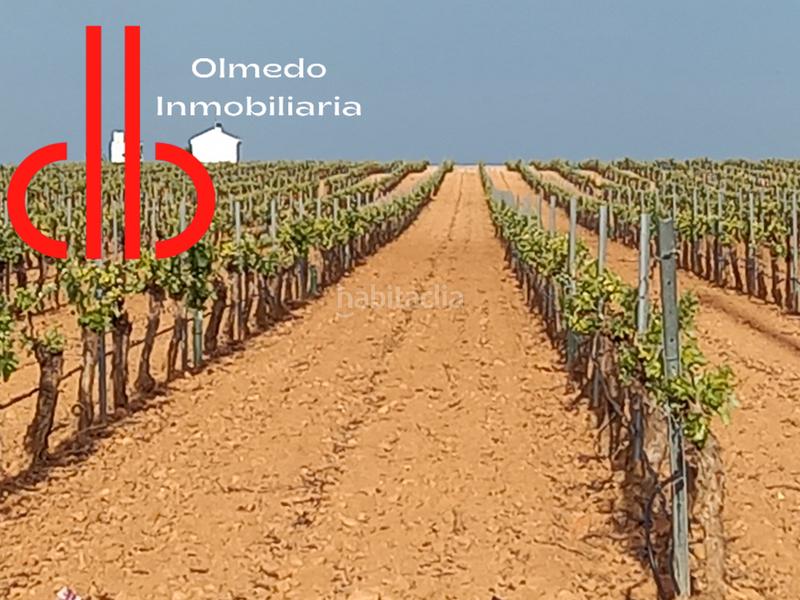 Foto b000c138-18eb-46e0-8b75-5731e15943aa. Finca rústica en calle garcía pavón 112 viña baja y espaldera de riego airen en Tomelloso