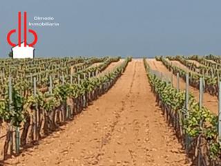 Finca rústica a Calle garcía pavón 112. Viña baja y  espaldera  de riego airen  en tomelloso