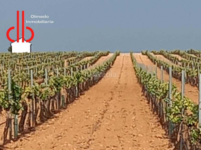 Foto bf071aae-06e0-4822-9b9c-d6672bc49e27. Finca rústica en calle garcía pavón 112 viña baja y espaldera de riego airen en Tomelloso