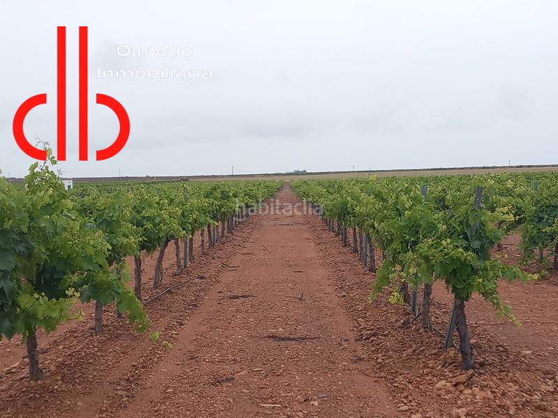 Foto 0f19e751-69e1-4a9e-a34c-ac3f9bd75a96. Propriété dans calle garcía pavón 112 dans Tomelloso