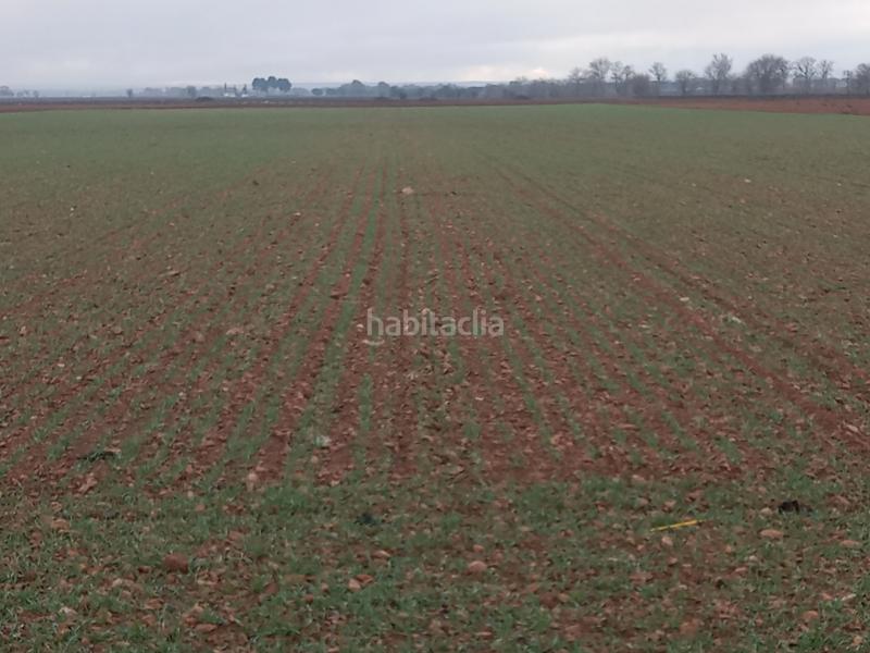 Foto 42e0c973-a2b5-42ef-b2d1-9caeca36a9dc. Propriété dans calle garcía pavón 112 dans Tomelloso