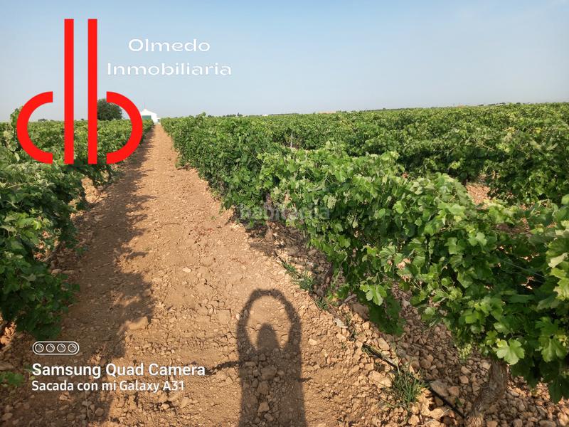 Foto 4fcd192b-1b66-4284-94b3-2fe6850c04f5. Propriété dans calle garcía pavón 112 dans Tomelloso