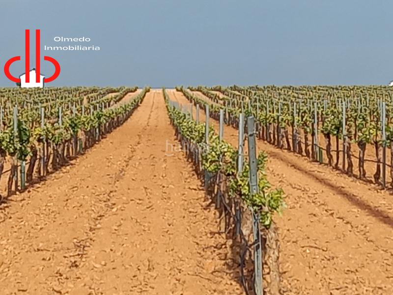 Foto 6c6ff60d-937c-4273-8803-ad574ca233d8. Propriété dans calle garcía pavón 112 dans Tomelloso