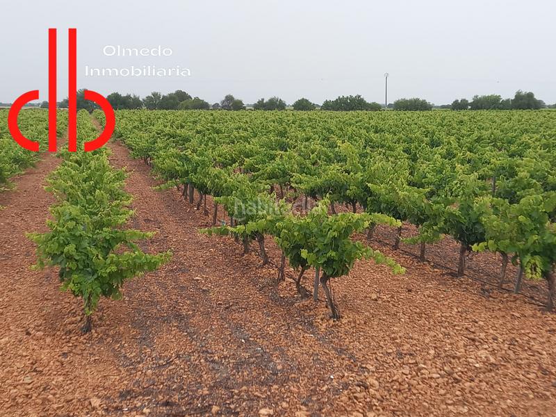 Foto 7ed0e36c-6c3a-443d-bbcb-d01477ea3e3b. Propriété dans calle garcía pavón 112 dans Tomelloso