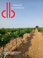 Finca rústica a Calle garcía pavón 112. Finca de 9,5 has de viña espaldera airen en tomelloso carretera