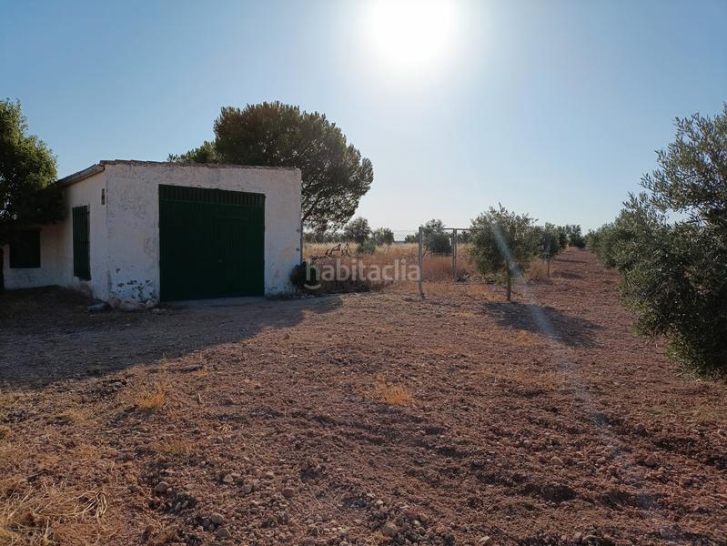 Foto 05261003-9791-4751-8a55-a6faef5d21f7. Finca rústica en calle garcía pavón 112 olivar de 1 pie de secano en Tomelloso