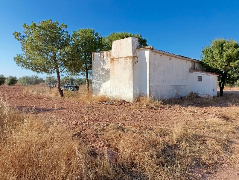 Foto 2dffe96f-3bcd-4826-b64e-c543876f456b. Finca rústica en calle garcía pavón 112 olivar de 1 pie de secano en Tomelloso