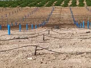 Finca rústica a Calle García Pavón 112