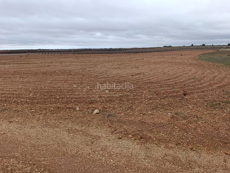 Foto cf8b6b43-063c-4112-ab79-4ed6205a4b18. Finca rústica a Tomelloso