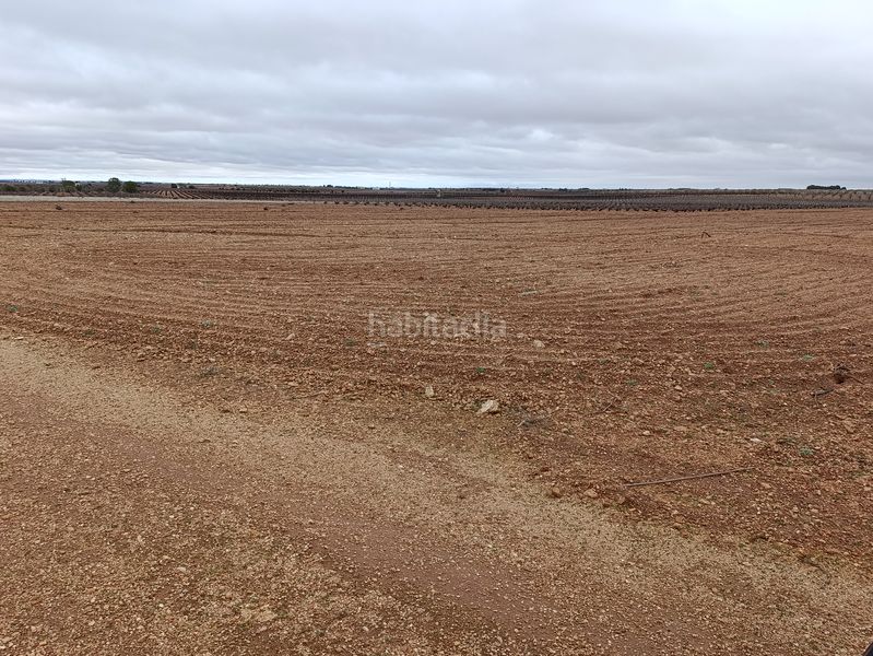 Foto e8ab49f3-8af4-4e5a-a5f1-f77ad9e06e00. Finca rústica a Tomelloso