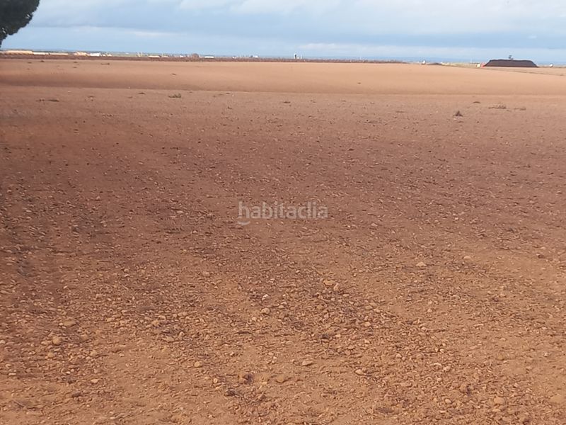 Foto f48923d6-6213-4f8e-baae-bb6d549de1c0. Finca rústica a Tomelloso