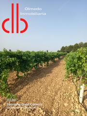 Finca rústica a Calle garcía pavón 114. Finca espaldera regadio tomelloso