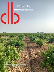 Finca rústica a Calle garcía pavón 112. Viña baja airen secano  en  parage miguelillo