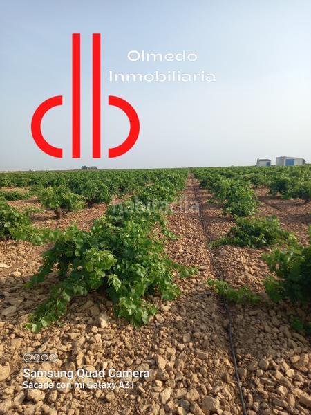 Foto 216d0d4e-2fc6-4d57-a9b2-591c9e1fd4d5. Landgut in calle garcía pavón 112 in Tomelloso