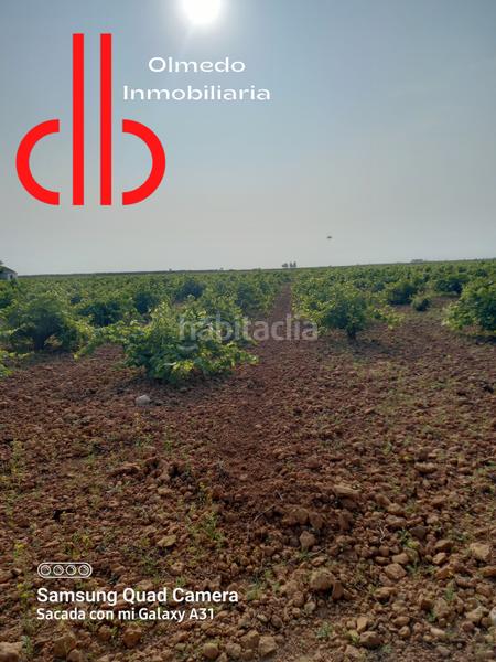 Foto 22b2b298-9c09-4090-9685-4b9fcbe8741a. Landgut in calle garcía pavón 112 in Tomelloso