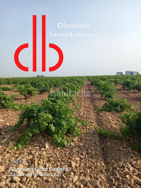 Foto f16915ac-f830-4d0c-acd1-bcf413b1ebc0. Landgut in calle garcía pavón 112 in Tomelloso