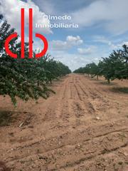 Finca rústica a Calle garcía pavón 112. Almendros de secano