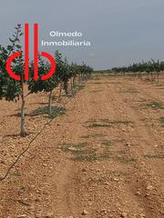 Finca rústica a Calle garcía pavón 112. Finca de 14 ha de pistachos en socuellamos