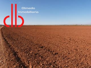 Finca rústica a Calle garcía pavón 112. Finca de 43 hectareas de tierra de labor de riego con pivot