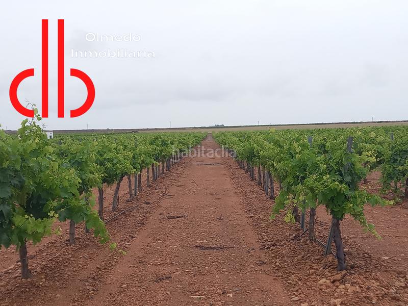 Foto 18044bb2-9f3c-4c39-934c-e258ede2618c. Finca rústica a calle garcía pavón 106 a Tomelloso