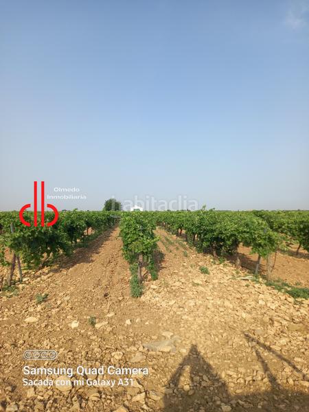 Foto 1f00a8f6-80b4-4ce9-ae61-11bc97494cad. Finca rústica a calle garcía pavón 106 a Tomelloso