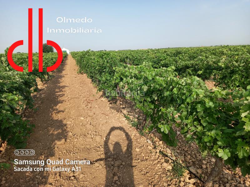 Foto 2e7f0b82-c3d6-450b-95ab-232291a3733b. Finca rústica a calle garcía pavón 106 a Tomelloso