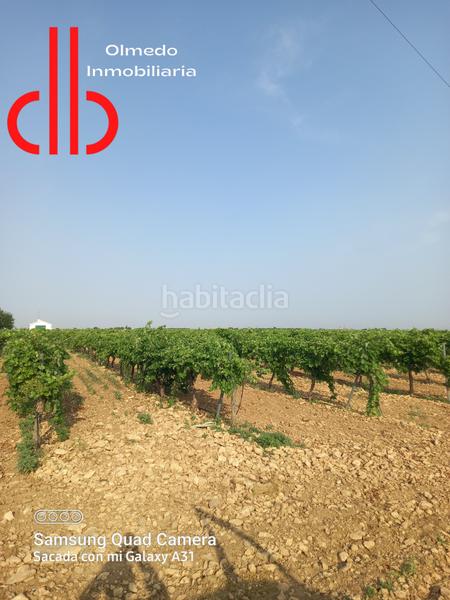 Foto 69879a55-6442-4760-999d-808a9b7e18a3. Finca rústica a calle garcía pavón 106 a Tomelloso