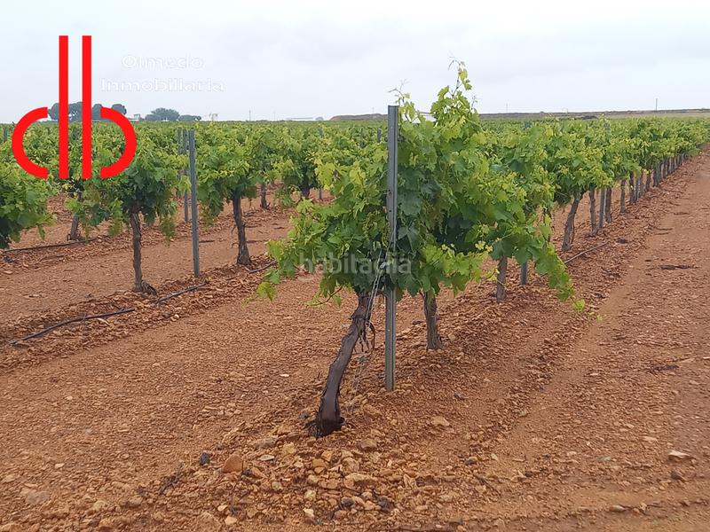 Foto 91d5240b-453a-47dd-96aa-54f05253aa1a. Finca rústica a calle garcía pavón 106 a Tomelloso